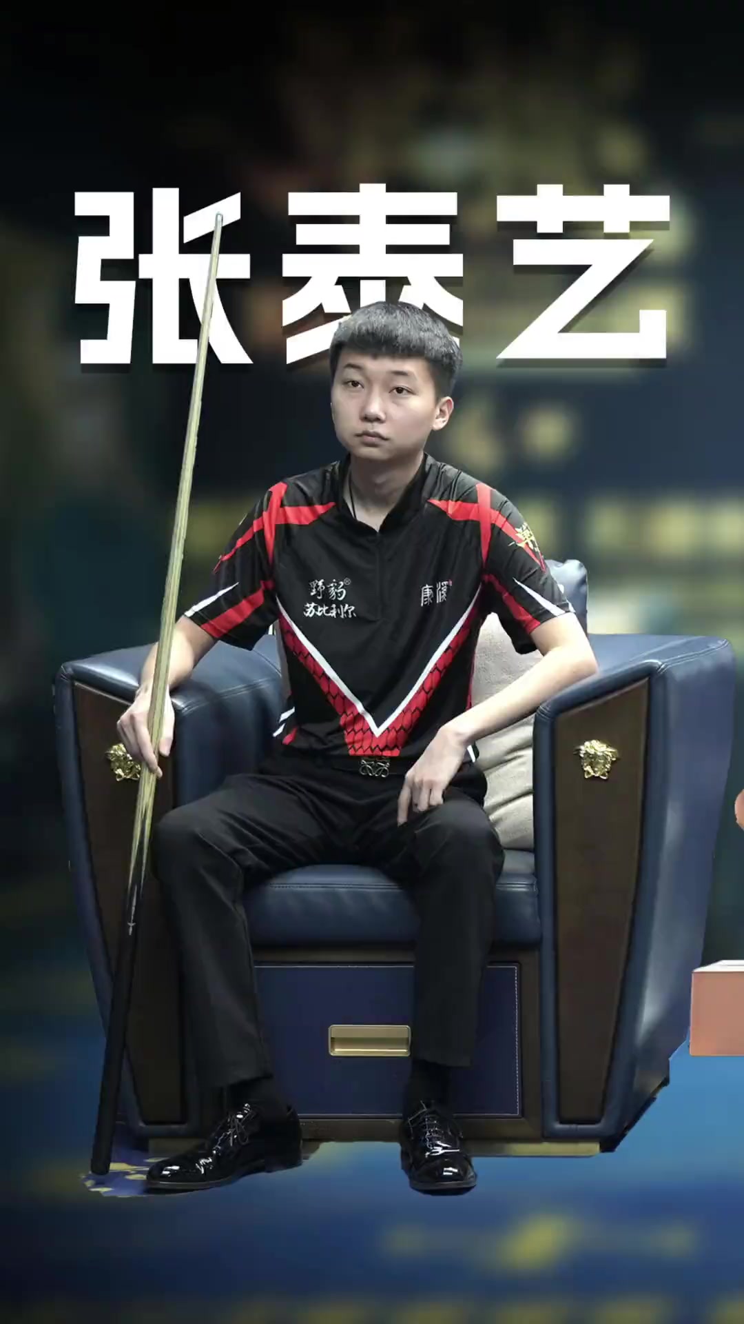 体锦标赛 体锦标赛