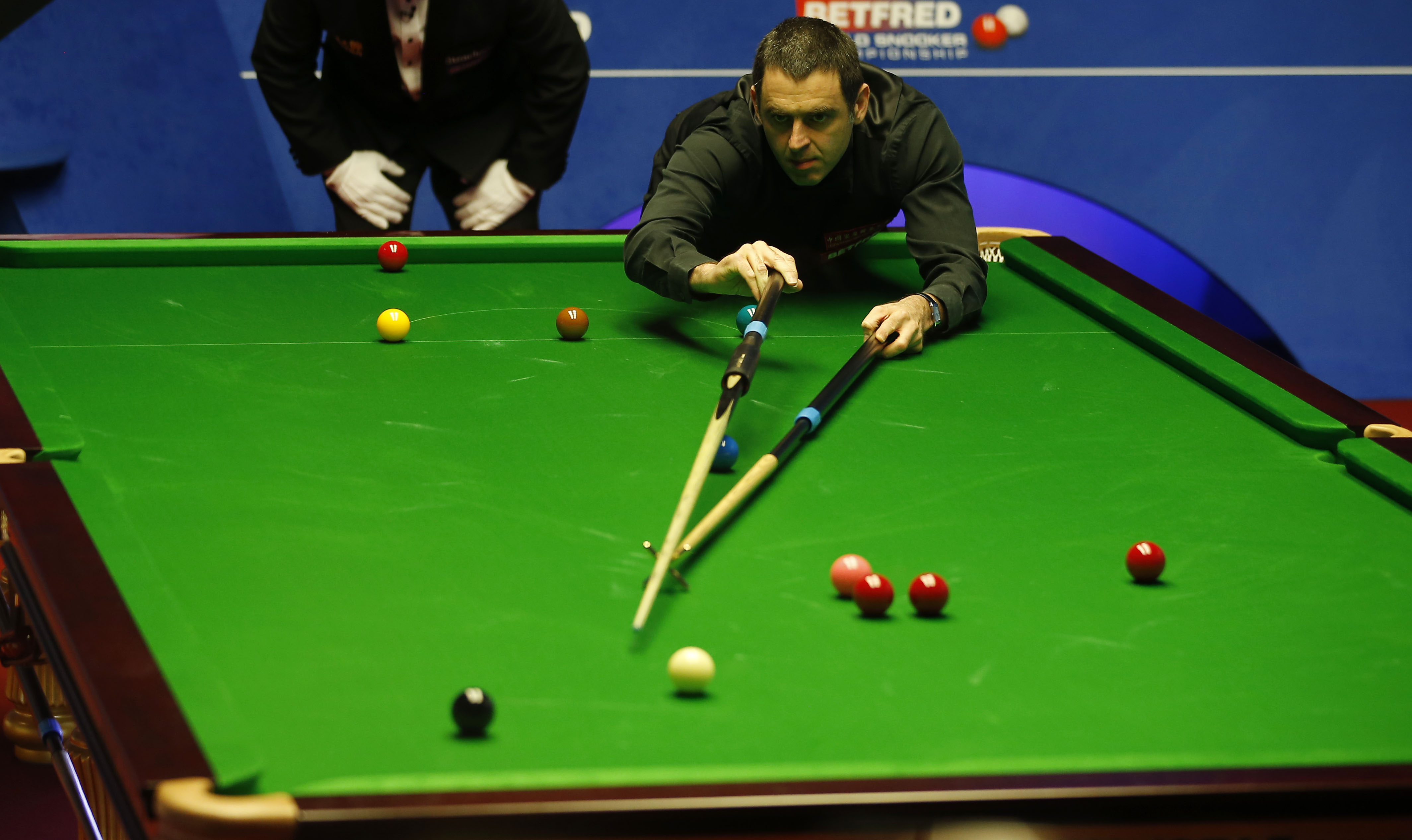 预计这次赛 预计这次赛