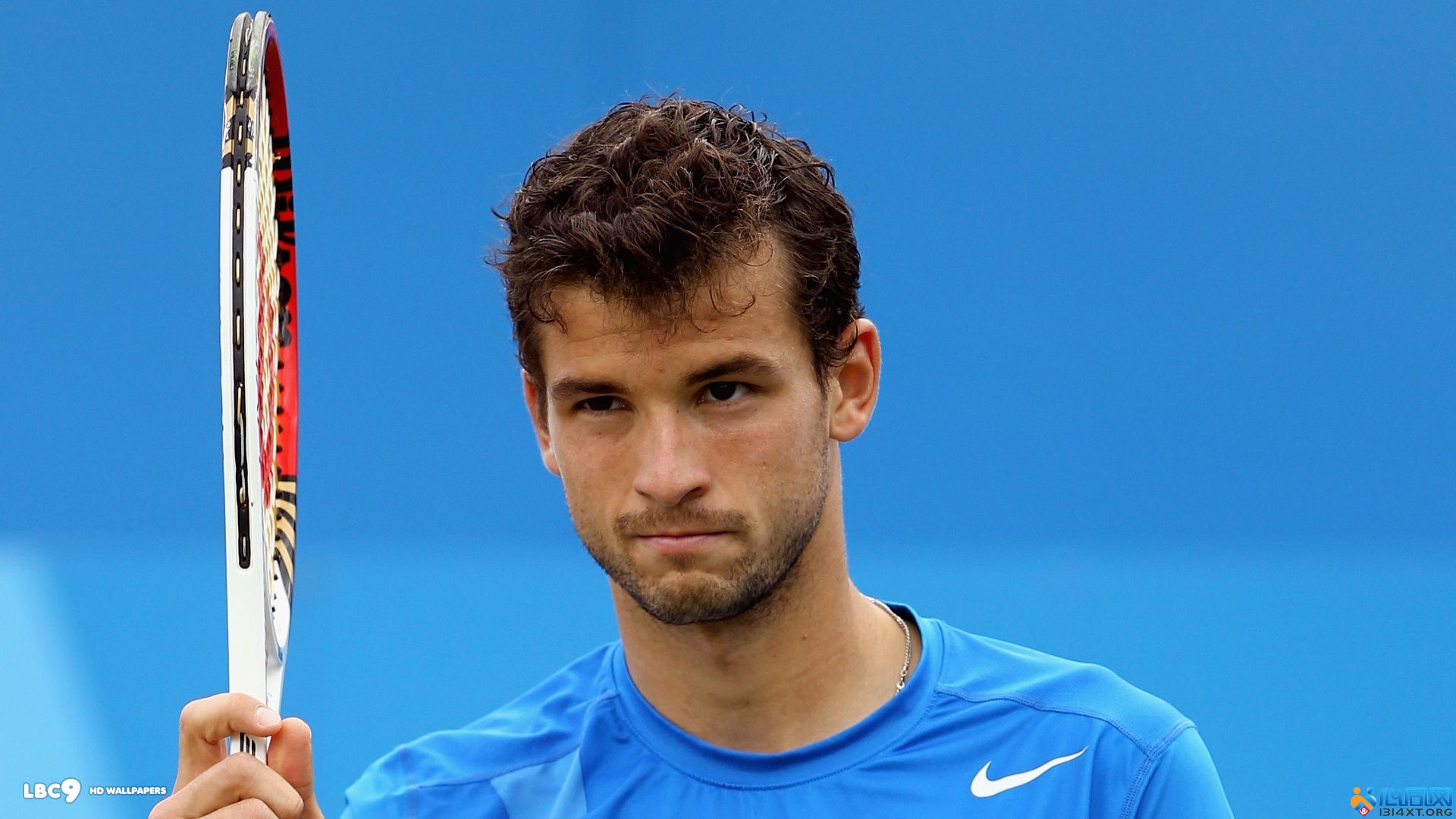 榜单整体胜 榜单整体胜