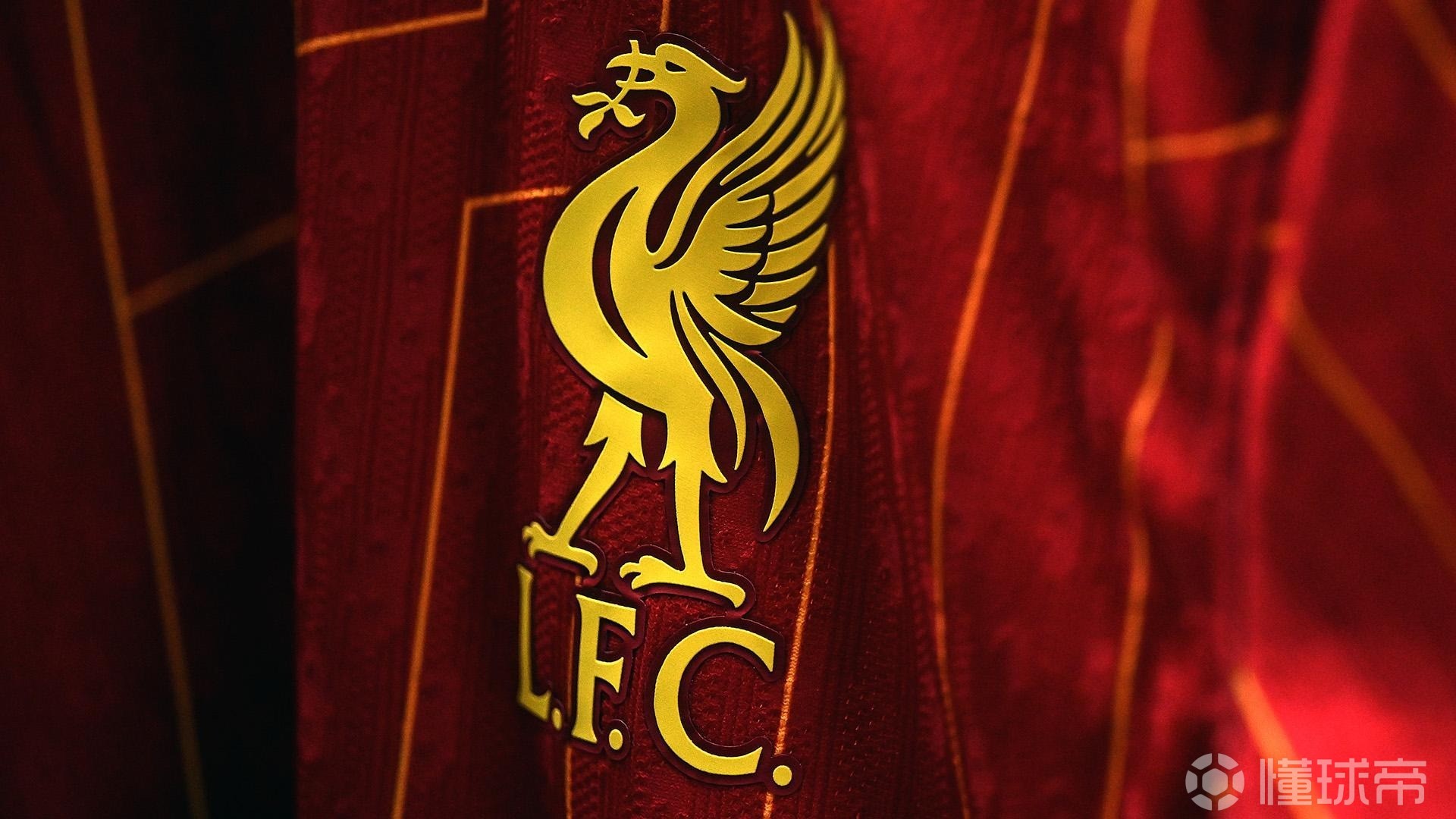 OP强点频 OP强点频