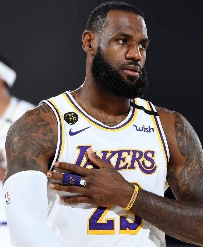 供了清晰的 供了清晰的